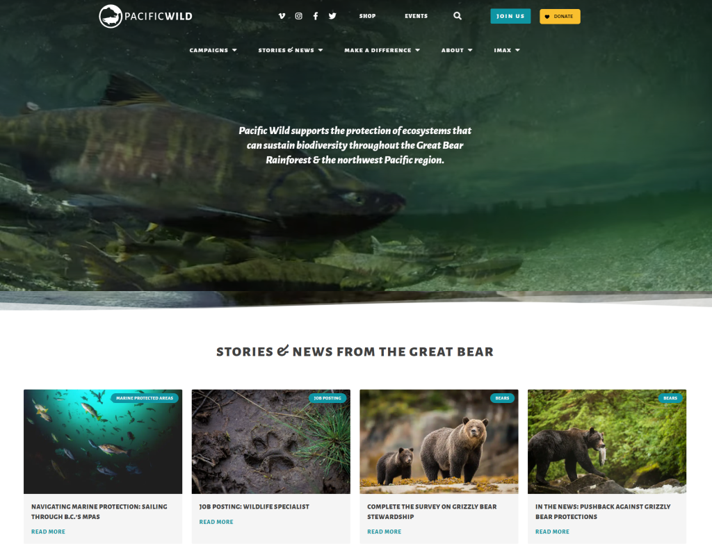 wild animals website